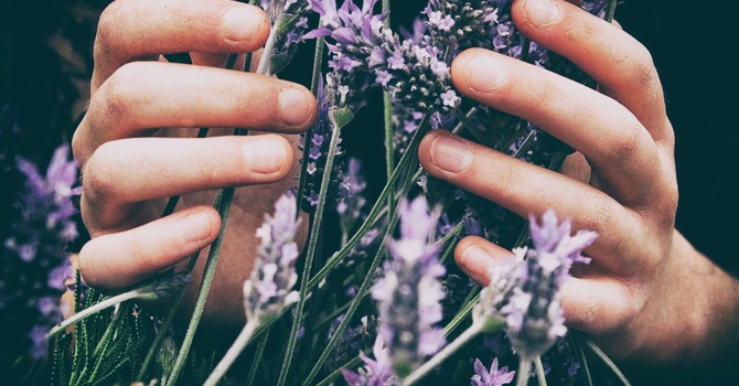 Chiropractic & Manual Therapy