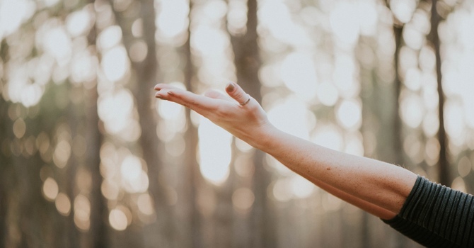 Chiropractic & Manual Therapy