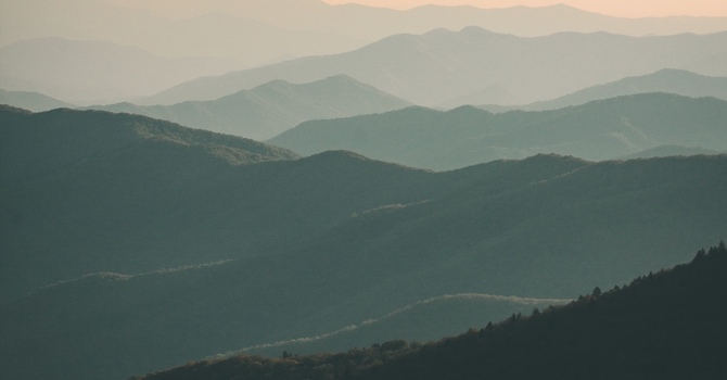 Chiropractic & Manual Therapy