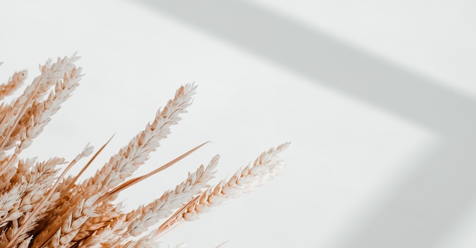 Chiropractic & Manual Therapy